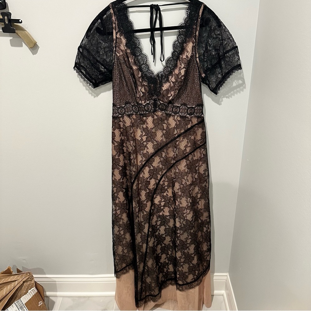 EUC Anthropologie Sheerly Beloved Layer of Lace Maxi Dress - Size 4 - Picture 6 of 16